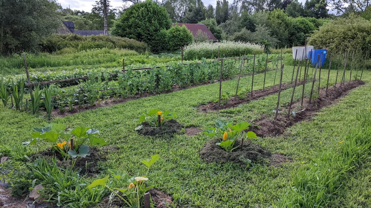 Initiation à la permaculture au gré des saisons